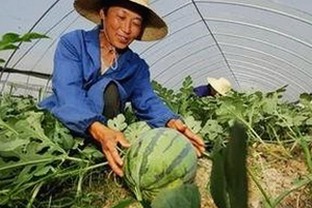 沈腾最新动态揭秘：娱乐圈吃瓜风云背后的男明星故事